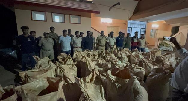 Khabar Odisha:more-than-2-tons-of-cannabies-seized-by-gajapati-police