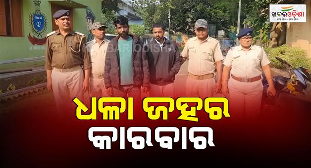 Khabar Odisha:more-than-half-kg-brownsugar-seized-from-different-places-of-odisha