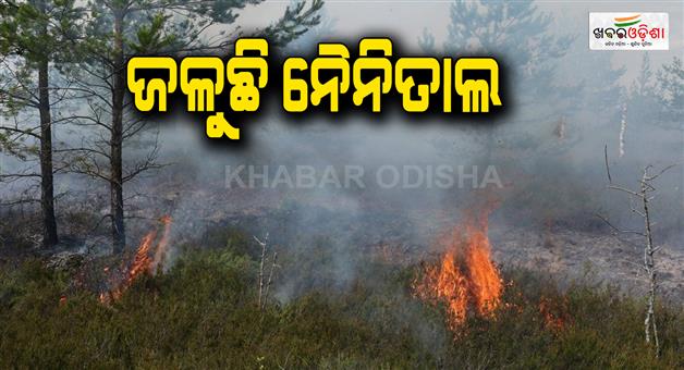 Khabar Odisha:nainital-jungle-fire