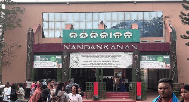 Khabar Odisha:nandankanan-lioness-shreya-gives-birth-to-first-cub