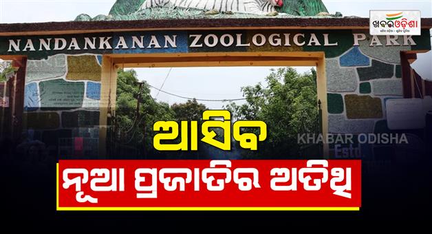 Khabar Odisha:nandankanan-zoo-to-receive-new-species-under-exchange-programme
