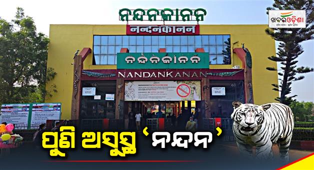 Khabar Odisha:nandankannan-nandan-ill