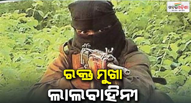 Khabar Odisha:naxalite-killed-a-man-in-bijapur-chhattishgarh