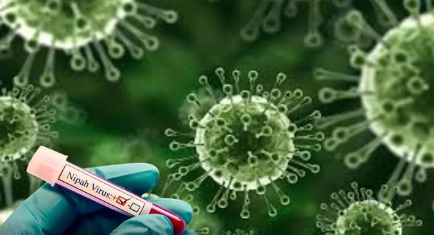 Khabar Odisha:need-not-to-worry-about-nipah-virus-in-odisha