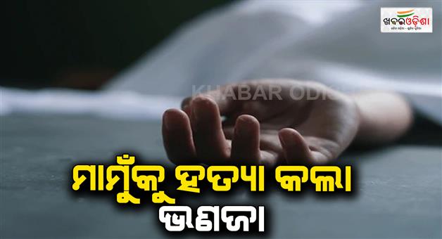 Khabar Odisha:nephew-stoned-his-uncler-to-death