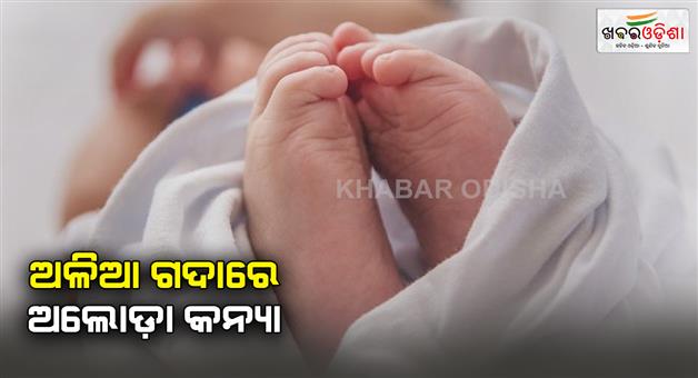 Khabar Odisha:new-born-dead-girl-child-found-from-road-side