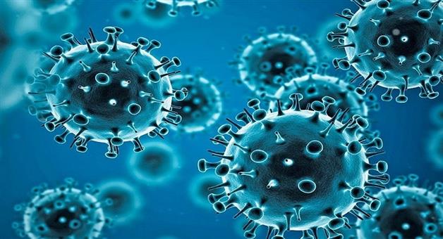 Khabar Odisha:no-need-to-worry-about-covid-virus-says-health-director
