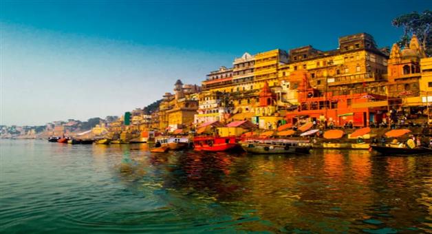 Khabar Odisha:non-veg-shop-will-shifted-from-kashi-city