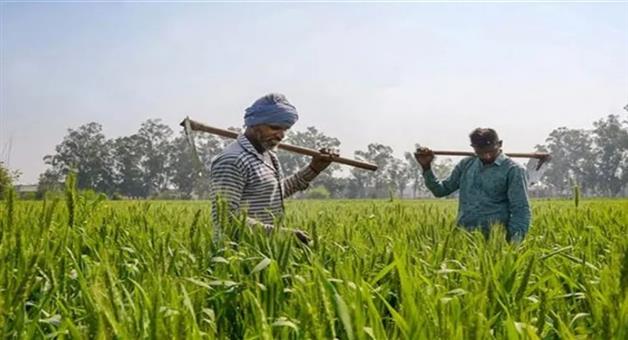 Khabar Odisha:odisha-extends-pm-kisan-kyc-deadline-by-6-months