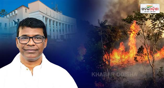 Khabar Odisha:odisha-forest-fire-22293-hectares-lost-in-three-years