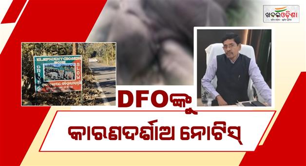 Khabar Odisha:odisha-govt-issues-show-cause-notice-to-baliguda-dfo-over-elephant-death