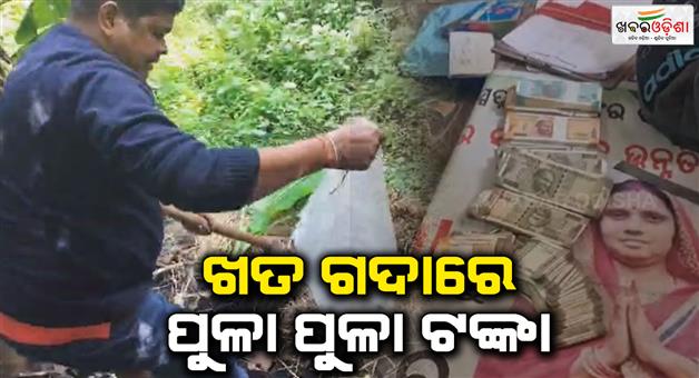 Khabar Odisha:odisha-man-loots-21-lakh-from-a-private-company-of-hydrabad