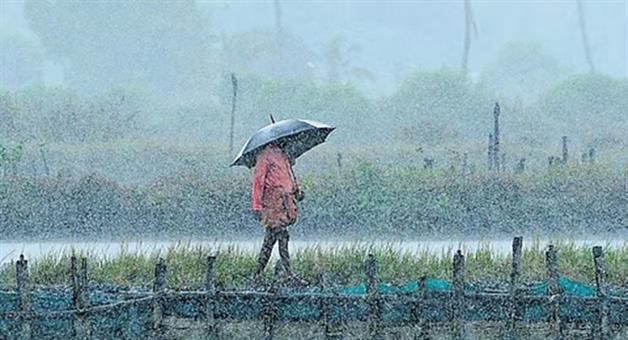 Khabar Odisha:odisha-monsoon-rainfall-29-percent-excess-balasore-boudh