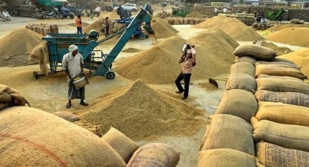 Khabar Odisha:odisha-opens-registration-for-2026-kharif-paddy-procurement