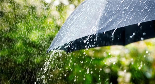 Khabar Odisha:odisha-records-220-mm-excess-rainfall-during-this-monsoon