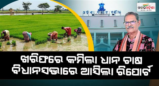 Khabar Odisha:odisha-records-36-18-lakh-ha-paddy-coverage-in-kharif-2026-agri-minister