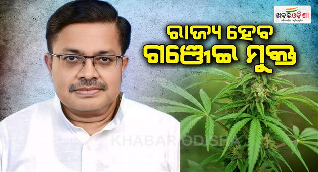 Khabar Odisha:odisha-will-be-marijuana-free-state-says-the-law-minister