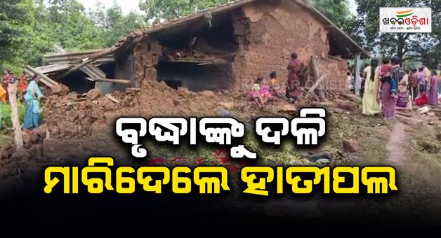 Khabar Odisha:oldman-killed-in-elephant-attack