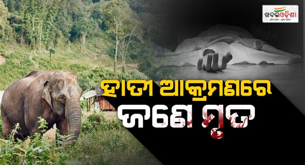 Khabar Odisha:one-women-died-after-elephant-attack-in-anugul