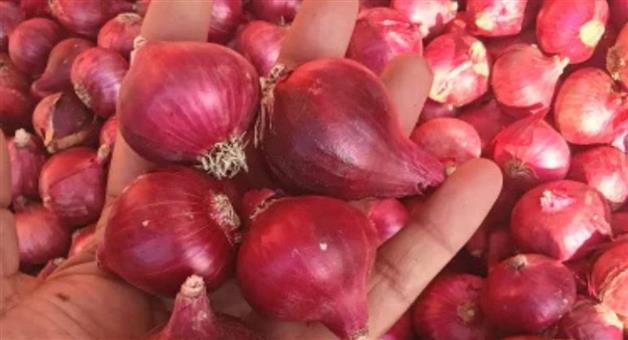 Khabar Odisha:onion-prices-hike-in-Odisha