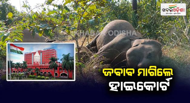 Khabar Odisha:orissa-high-court-took-suo-motu-cognizance-of-death-of-three-elephants-in-Nakatideula-forest