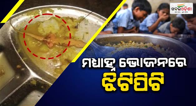 Khabar Odisha:over-30-students-hospitalised-after-lizard-found-in-mid-day-meal-at-school-in-odishas-puri