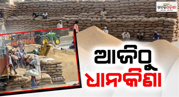 Khabar Odisha:paddy-procurement-process-to-begin-in-odisha