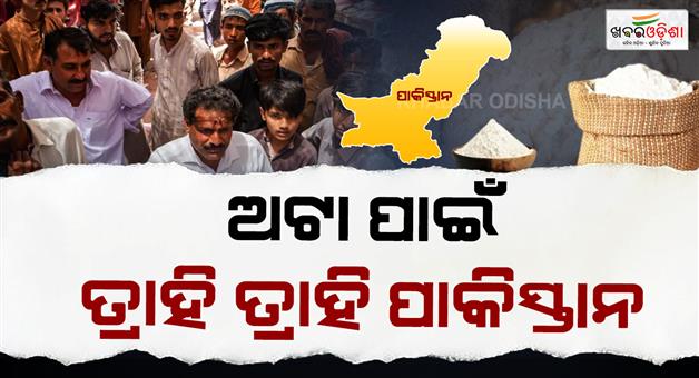 Khabar Odisha:pakistan-flour-crisis-sindh-wheat-procurement-fails