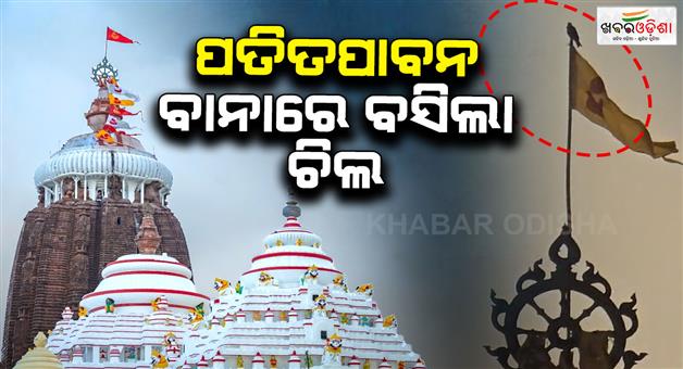Khabar Odisha:peaople-saw-eagle-on-nilachakra-at-shree-mandir