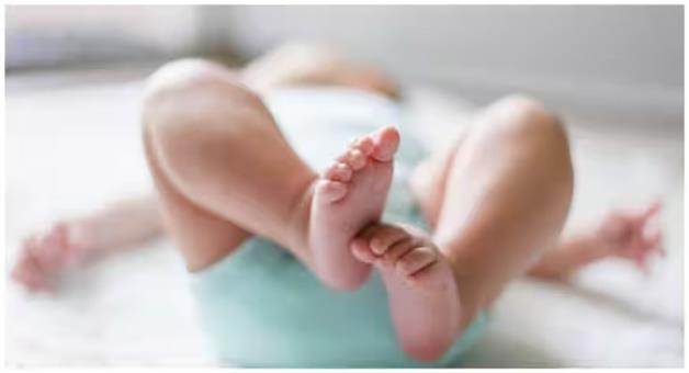 Khabar Odisha:peo-rescues-newborn-girl-abandoned-in-odisha-forest