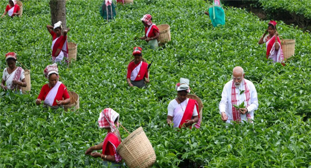 Khabar Odisha:pm-modi-assam-visit-tea-garden-interaction-women-workers-selfie