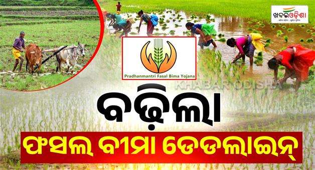 Khabar Odisha:pmfby-registration-deadline-extended-till-august-31-in-odisha