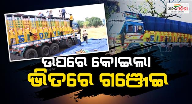Khabar Odisha:police-seize-large-quantity-of-ganja-hidden-in-coal-truck-in-kandhamal