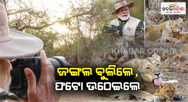 Khabar Odisha:prime-minister-narendra-modi-enjoyed-jungle-safari-took-pictures-of-lions