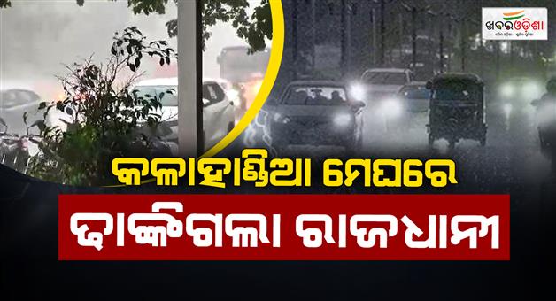 Khabar Odisha:rain-and-gusty-winds-uproot-trees-in-capital-after-searing-daytime-heat