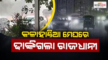 Khabar Odisha:rain-and-gusty-winds-uproot-trees-in-capital-after-searing-daytime-heat