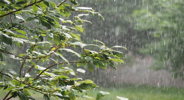 Khabar Odisha:rain-in-odisha