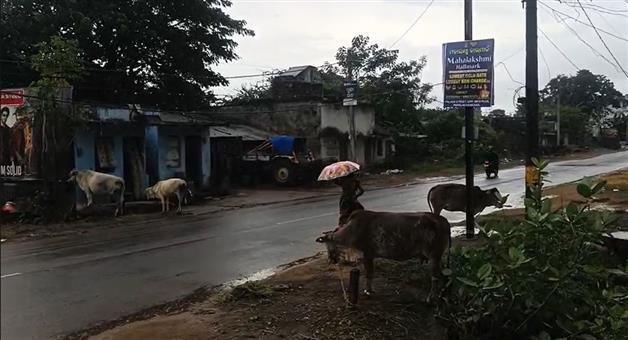 Khabar Odisha:rain-start-in-odisha-due-to-cyclone-montha