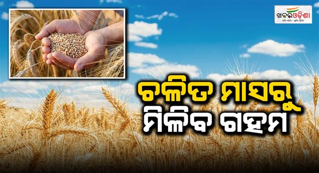 Khabar Odisha:ration-card-holders-will-get-wheat-this-month