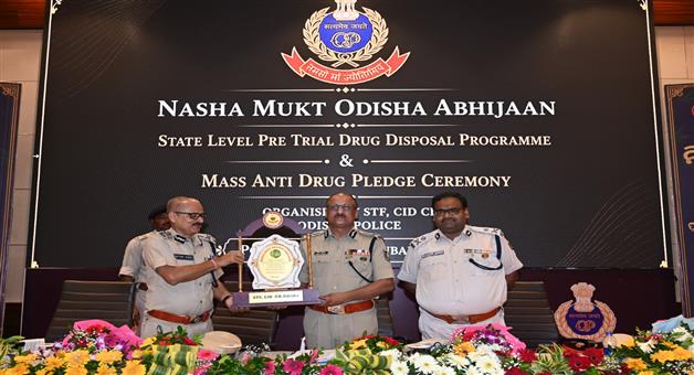 Khabar Odisha:rs-1911-crore-cannabies-destroyed-during-nasha-mukt-odisha-abhijaan