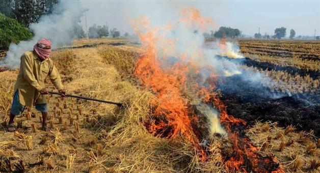 Khabar Odisha:rs-58-crore-fine-imposed-in-punjab-and-haryana-for-stubble-burning