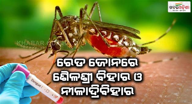 Khabar Odisha:sailashree-Vihar-and-Niladri-Vihar-have-become-dengue-hotspots