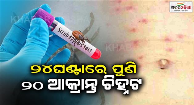 Khabar Odisha:scrub-typhus-cases-are-increasing