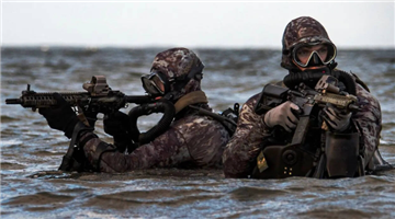 Khabar Odisha:seal-team-6-rescues-us-pilot-from-iran-osama-killer-squad-details