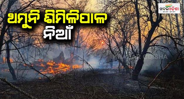 Khabar Odisha:shimilpala-jungle-fire