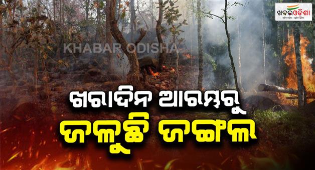 Khabar Odisha:similipal-is-burning-furiously-wildlife-in-danger