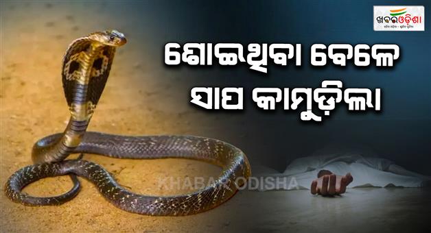 Khabar Odisha:snake-bite-claims-4-year-old-boy-life-sundargarh-kutra