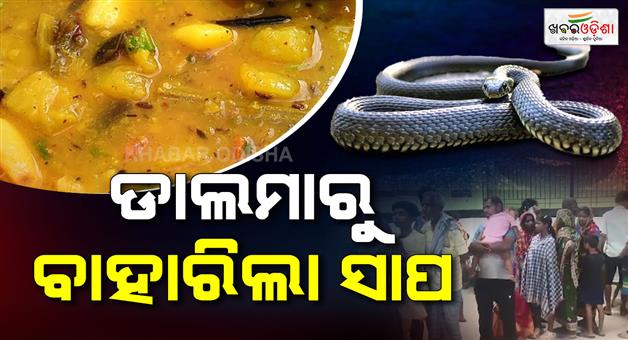 Khabar Odisha:snake-emerges-from-dalma-people-panic-long-queue-of-people-over-40-for-health-check-up-