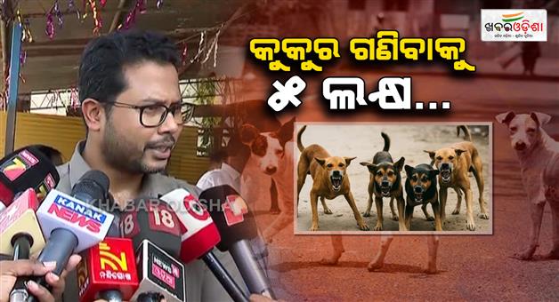 Khabar Odisha:stray-dogs-will-be-counted-in-an-area-of-3500-to-4000-km2-in-bhubaneswars-streets-chanchal-rana