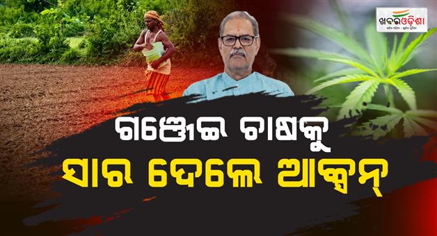 Khabar Odisha:strict-action-against-dealers-supplying-fertilisers-for-ganja-cultivation-singh-deo